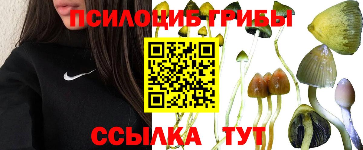 Галлюциногенные грибы прущие грибы Оренбург