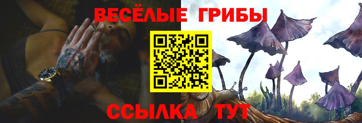 Псилоцибиновые грибы Magic Shrooms  Вход с VPN  Оренбург  Галлюциногенные грибы Magic Shrooms 